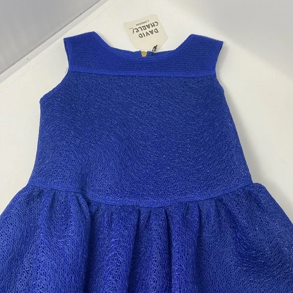 DAVID CHARLES***Gorgeous Blue Dress**Size 4 $180 - Picture 1 of 5